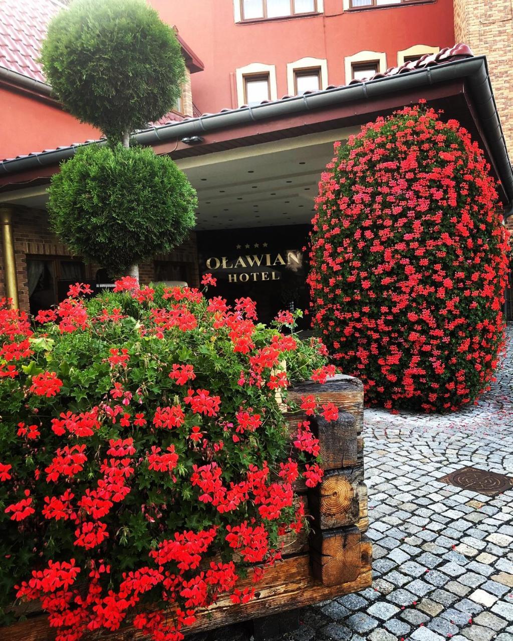 Olawian Hotel Oława Buitenkant foto